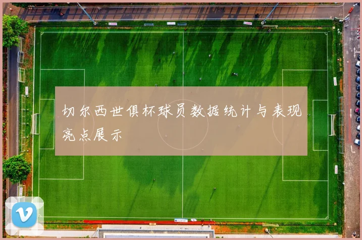 切尔西世俱杯球员数据统计与表现亮点展示