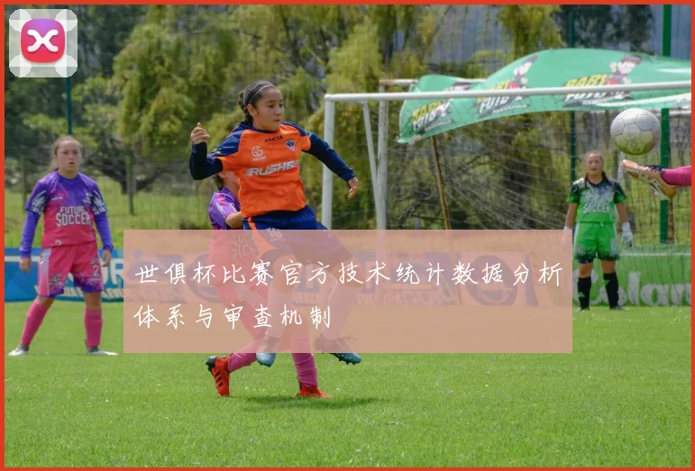 世俱杯比赛官方技术统计数据分析体系与审查机制