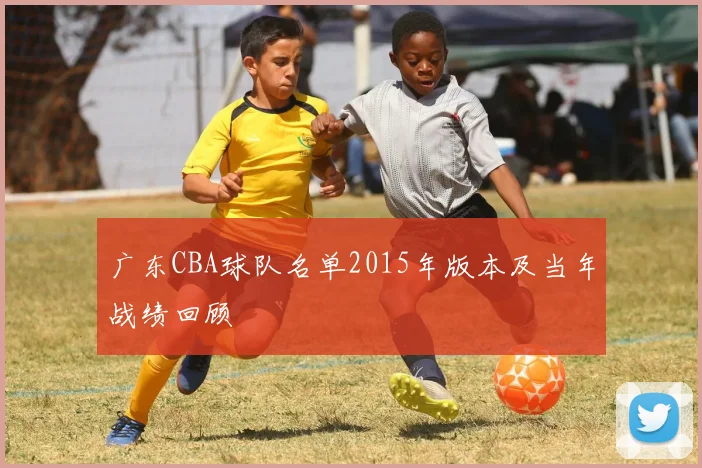 广东CBA球队名单2015年版本及当年战绩回顾